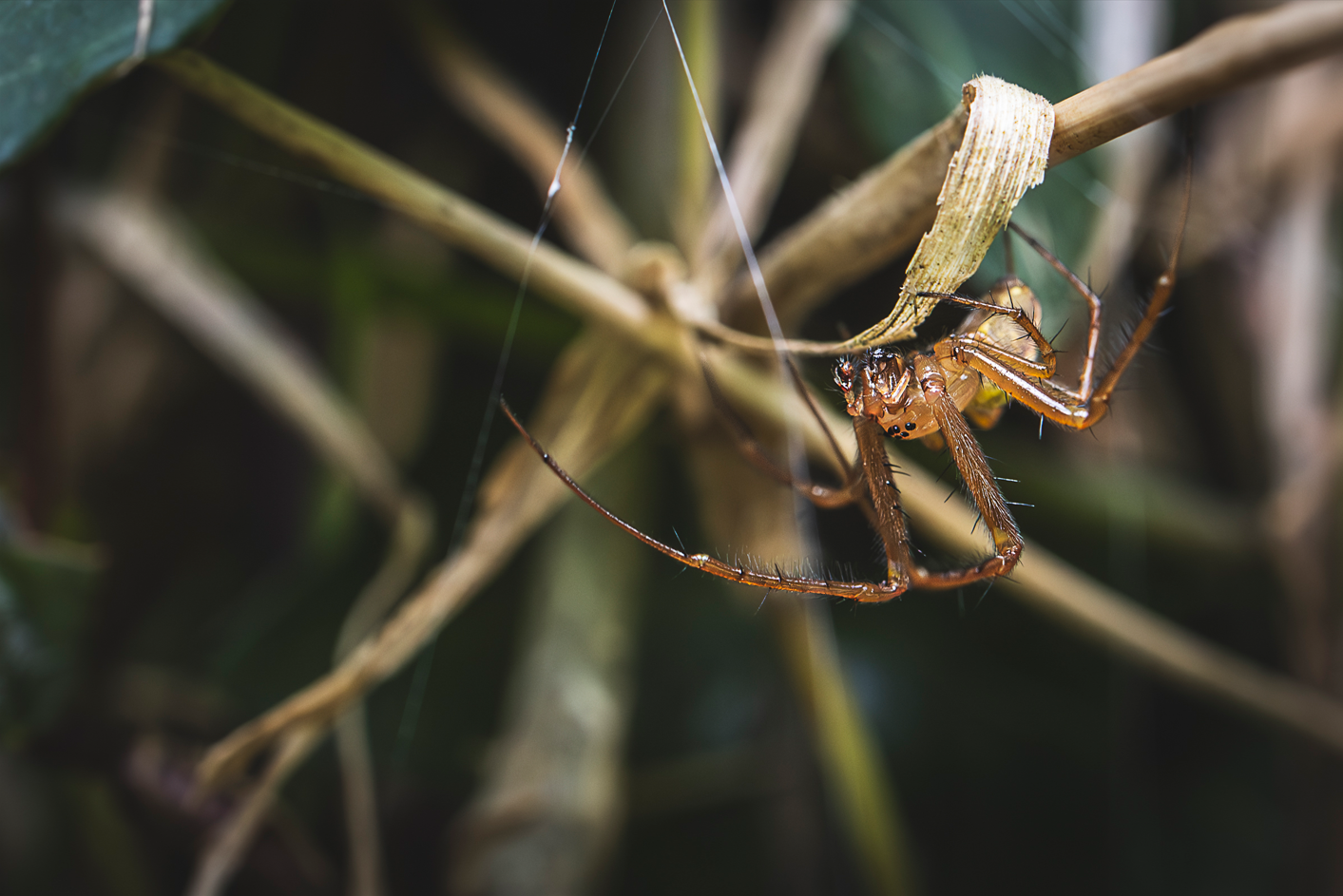 Screenshot (106).png