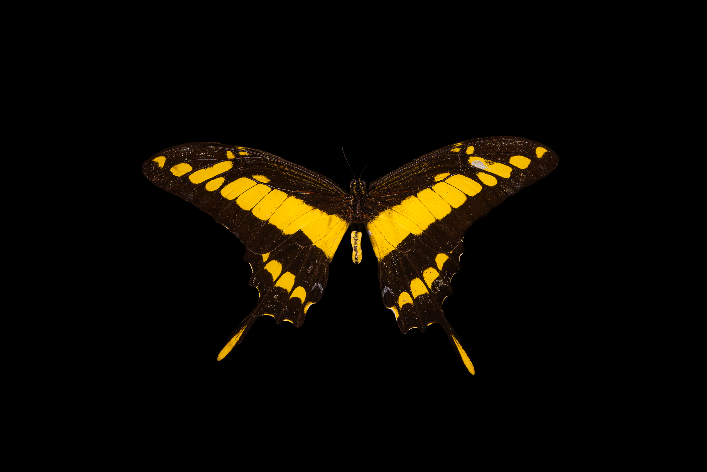 Screenshot 2025-12-20 231225.png