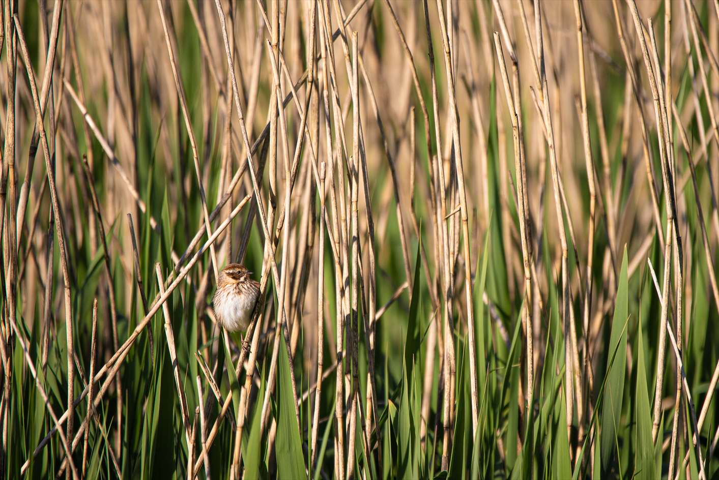 Screenshot (126).png