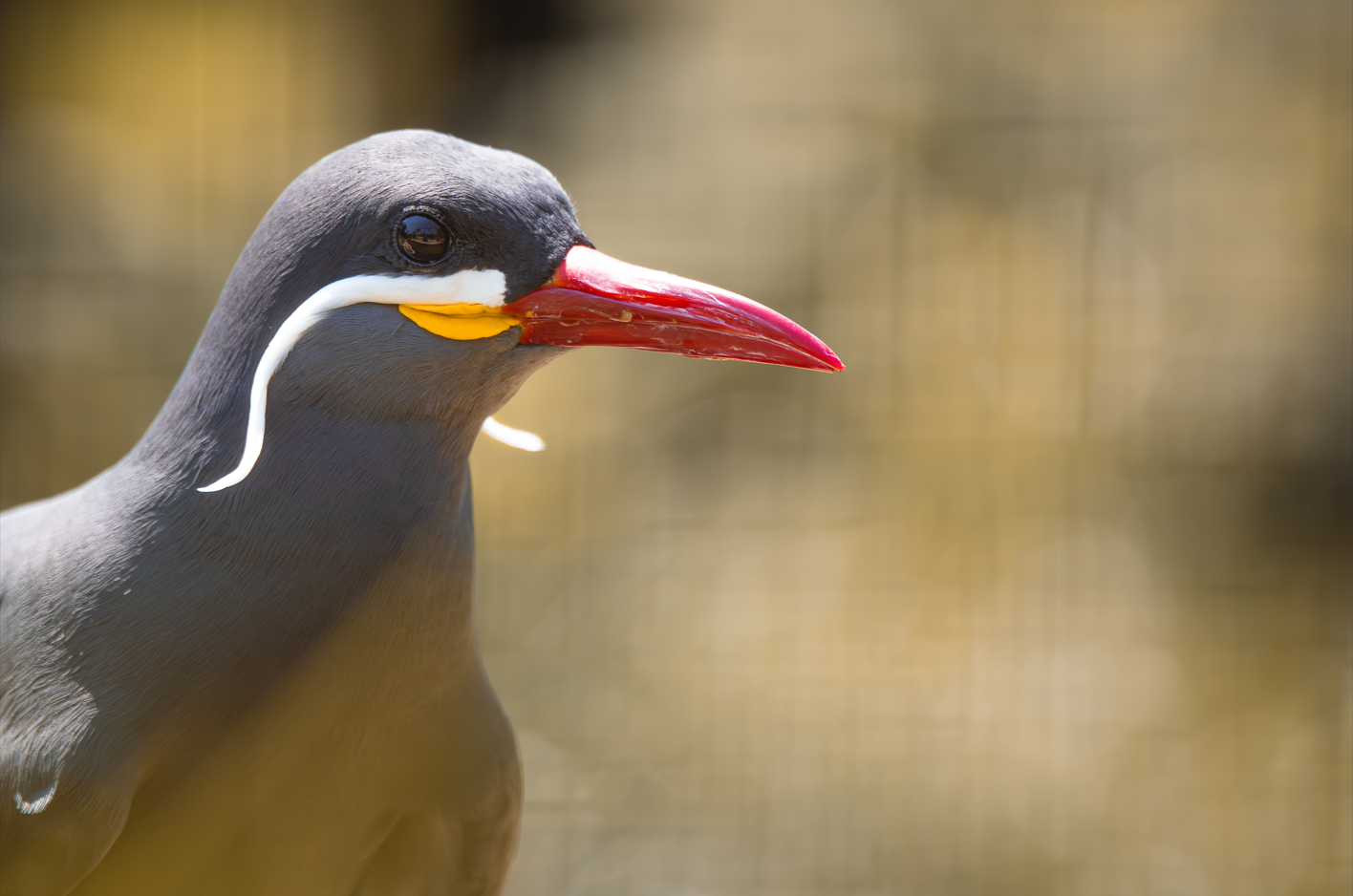 Screenshot (302).png