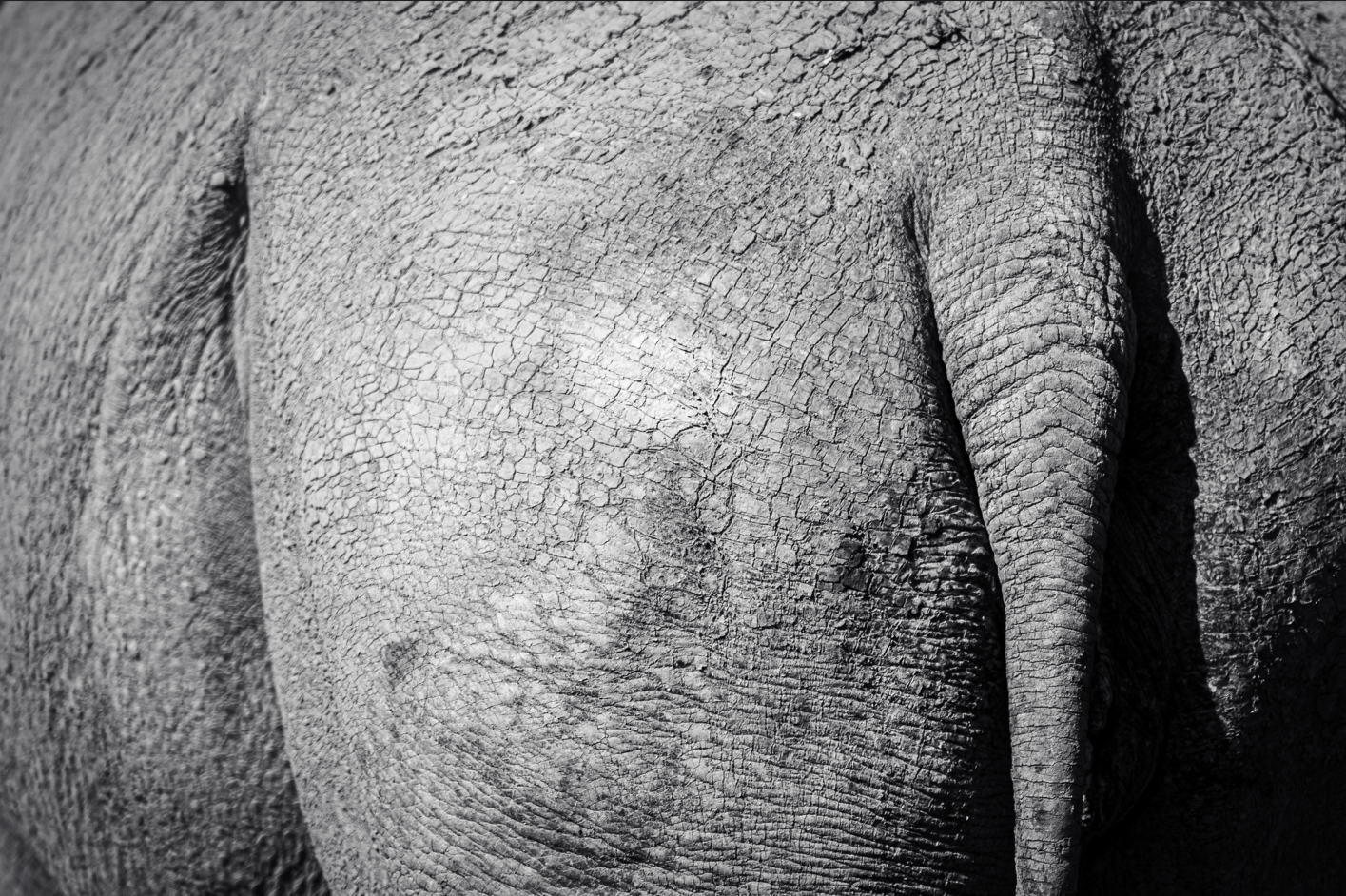 Screenshot (277).png