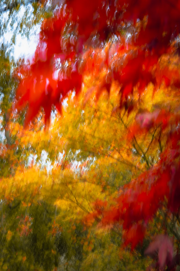 Screenshot (152).png