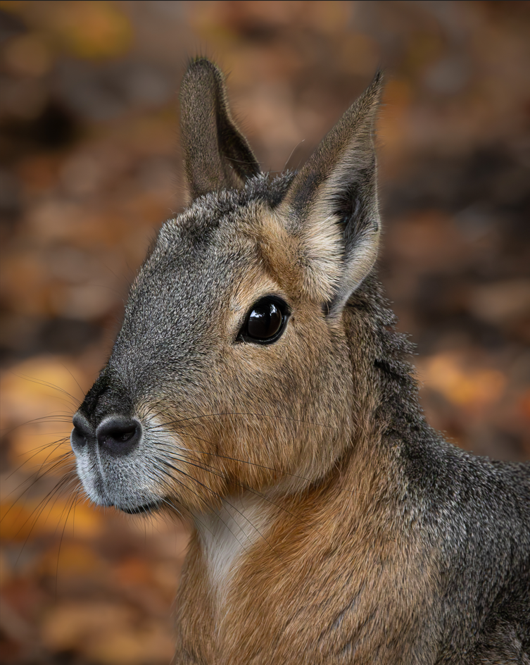 Screenshot (266).png