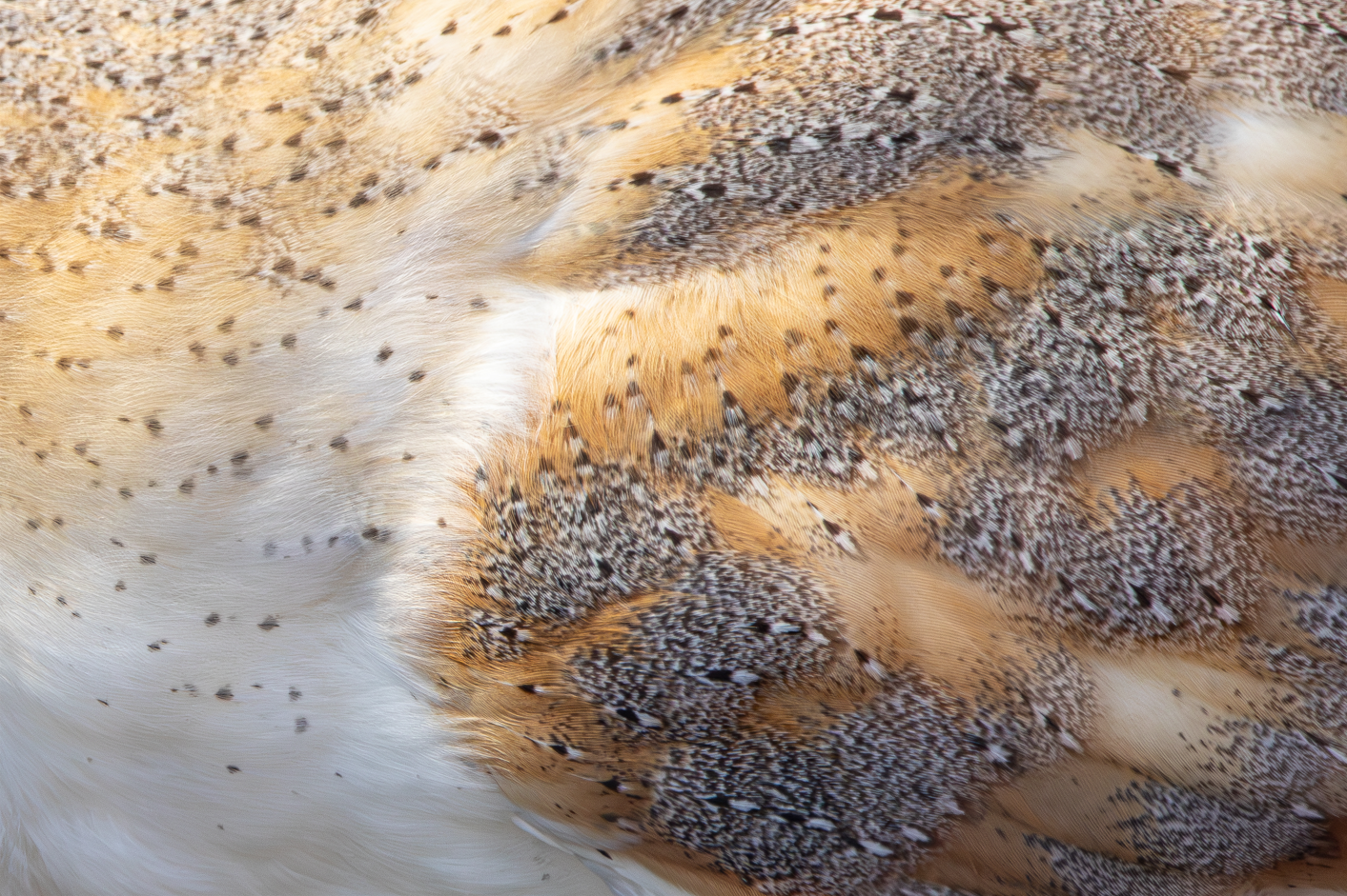 Screenshot (254).png