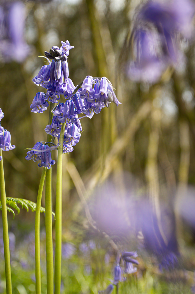 Screenshot (465).png