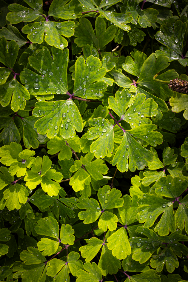 Screenshot (171).png