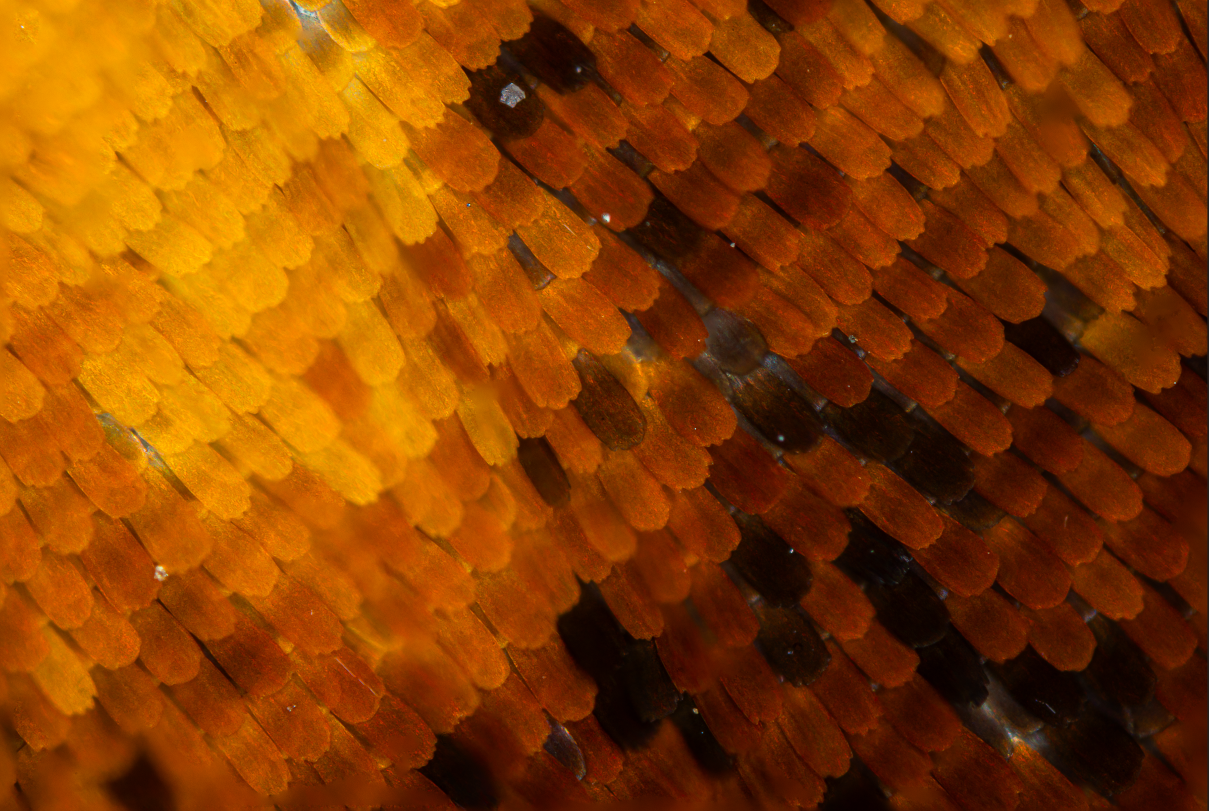 Screenshot 2025-12-20 231440.png