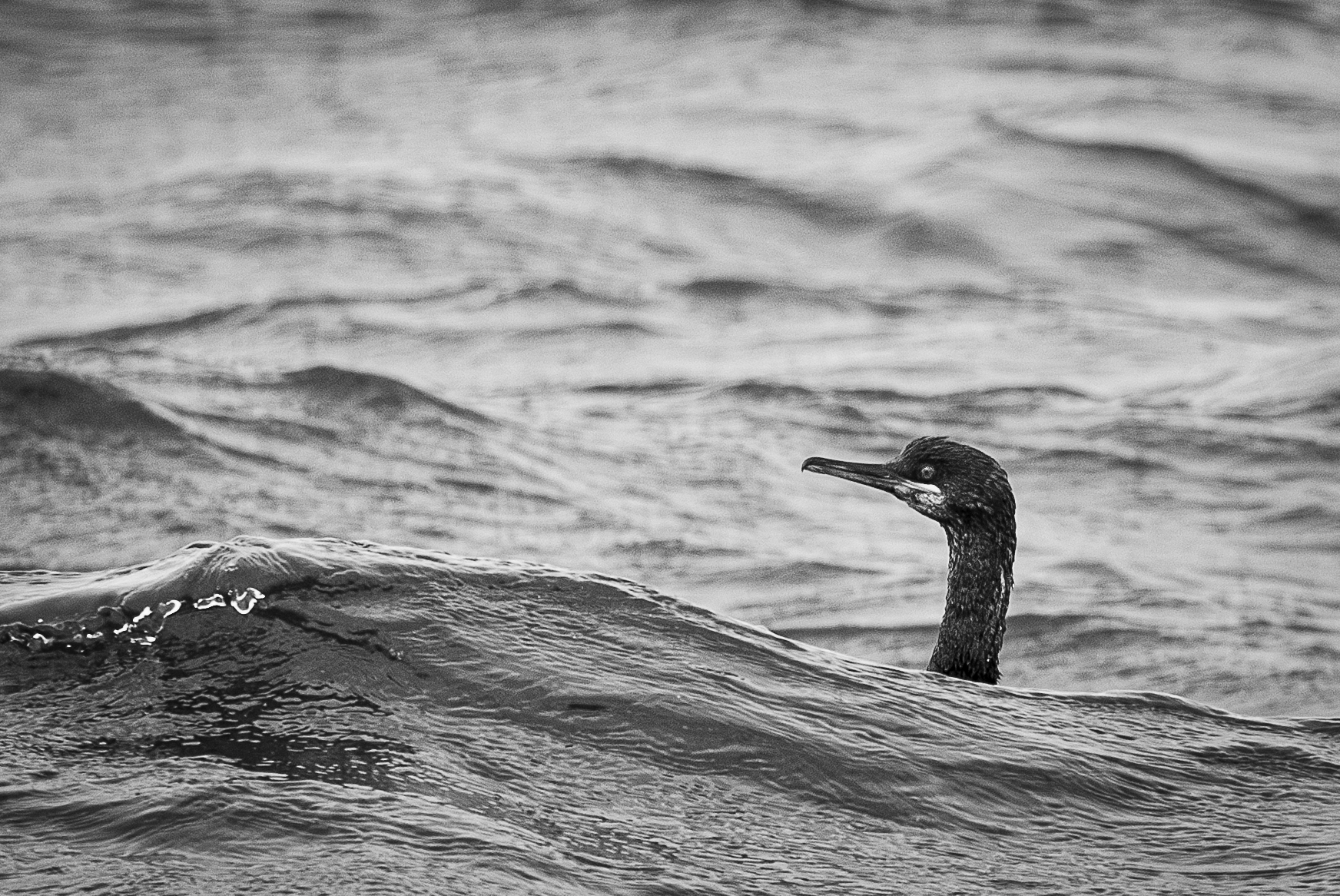 Screenshot 2026-02-05 133018.png