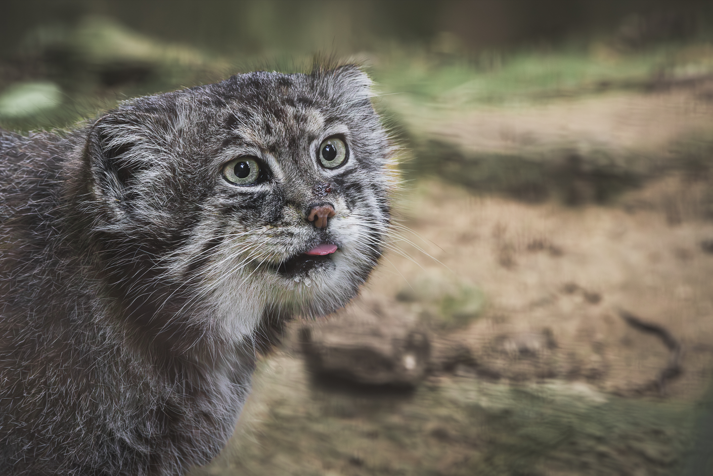 Screenshot (290).png