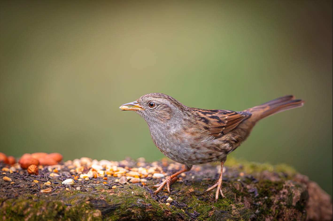 Screenshot (119).png