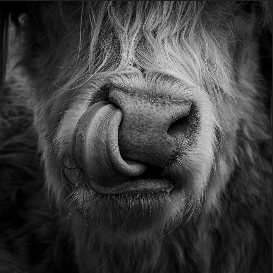 Screenshot (212).png