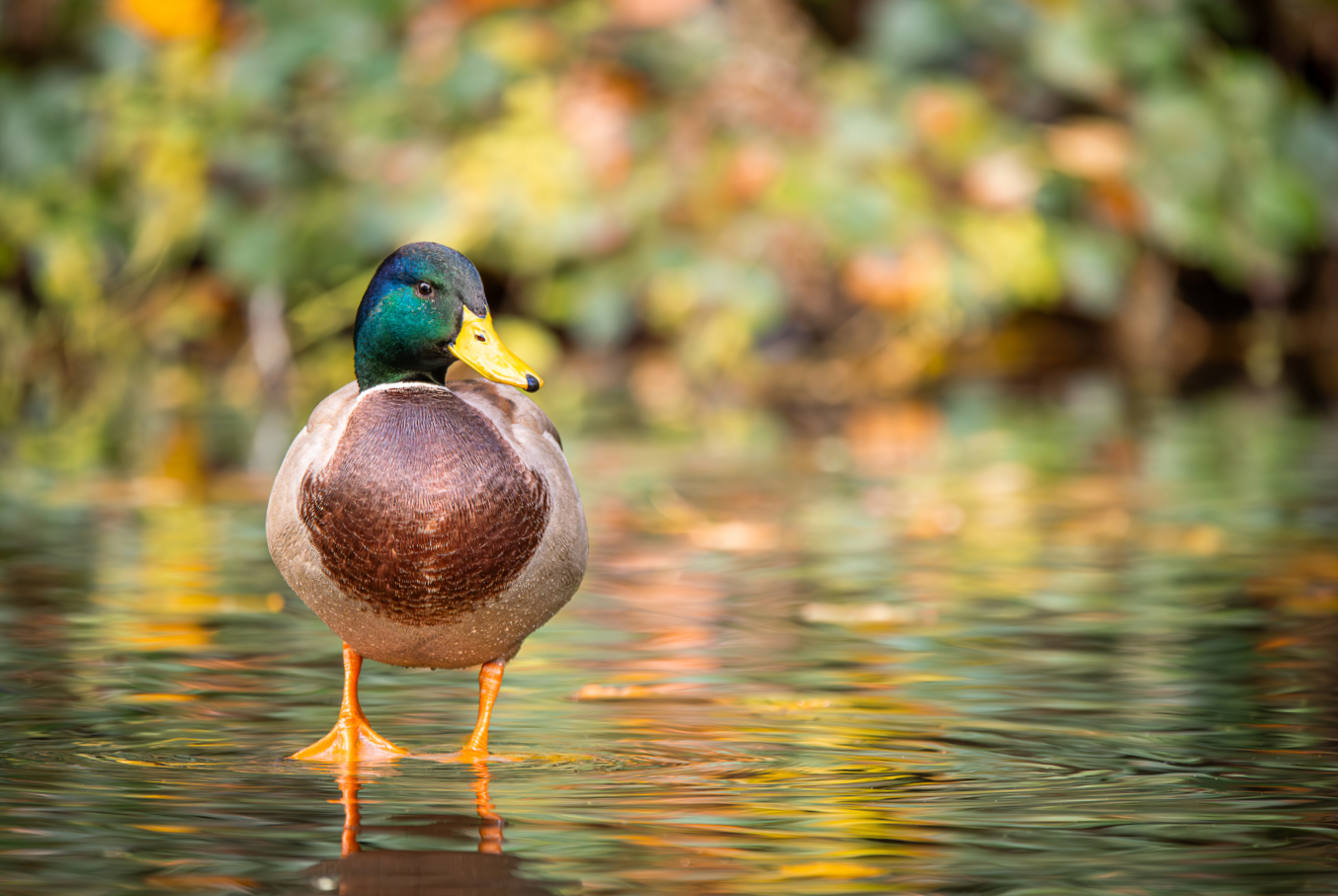 Screenshot (132).png