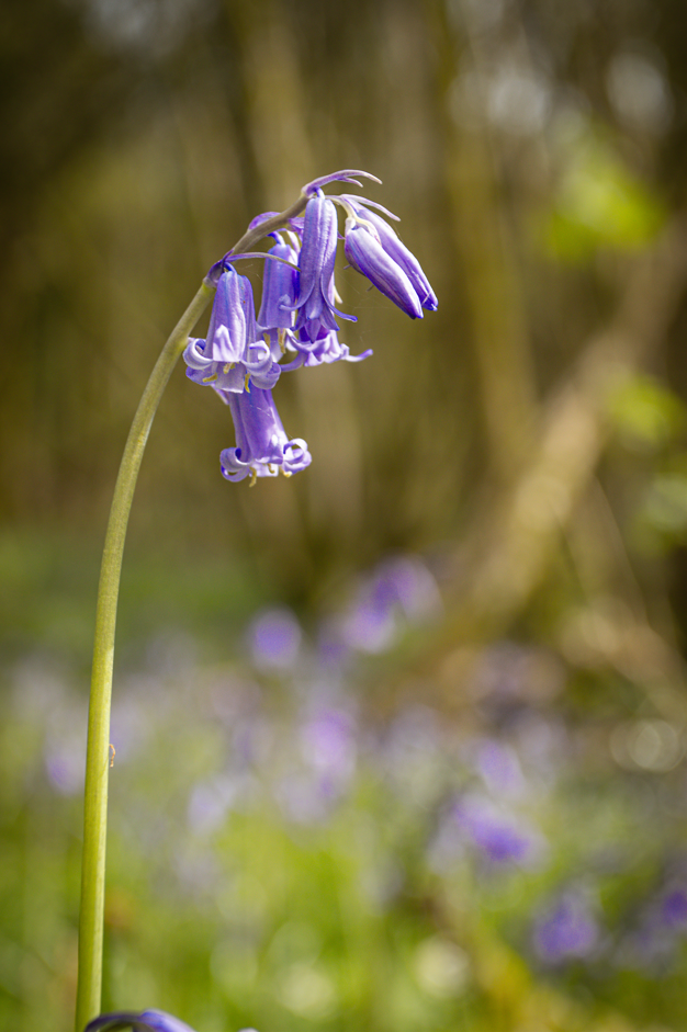 Screenshot (464).png