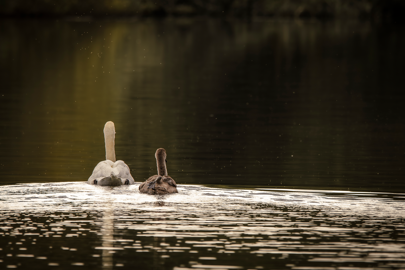 Screenshot (114).png