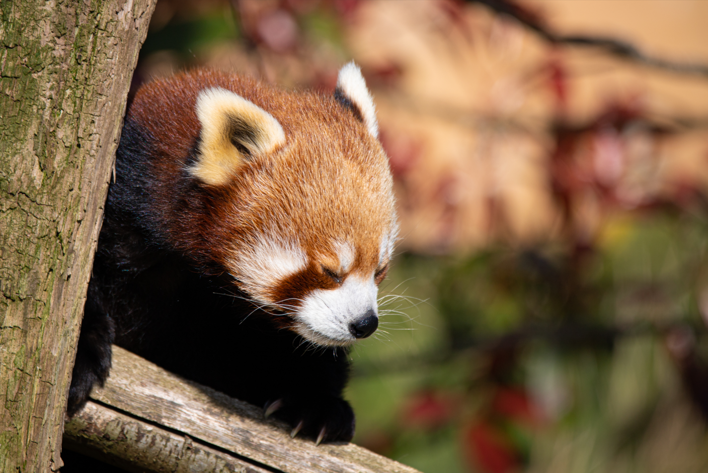 Screenshot (281).png