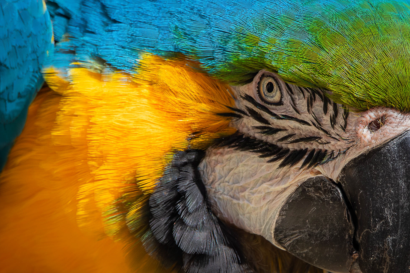 Screenshot (230).png