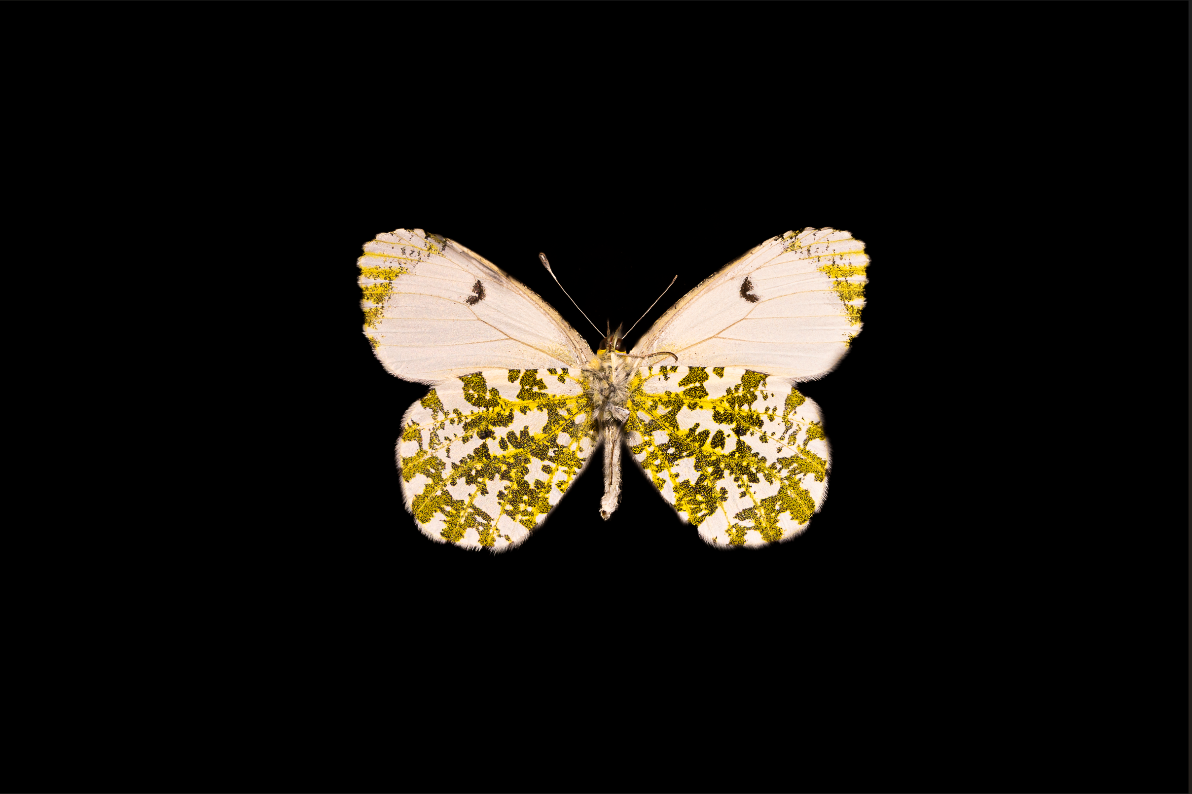 Screenshot 2025-12-20 230922.png