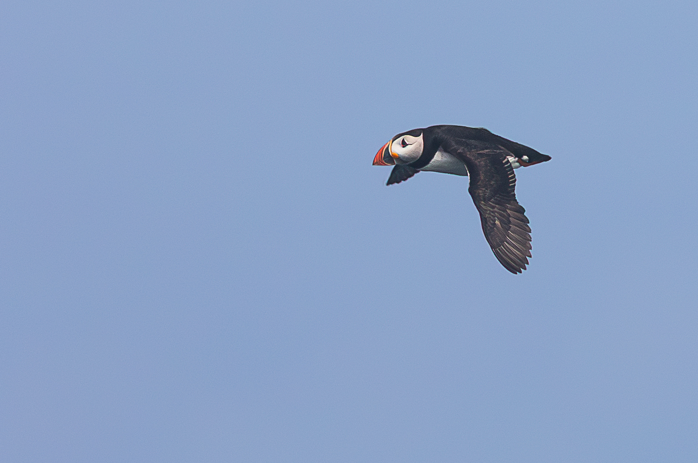 Screenshot 2026-02-05 133108.png