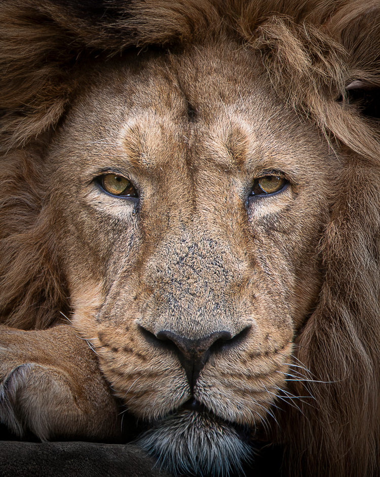 Screenshot (216).png