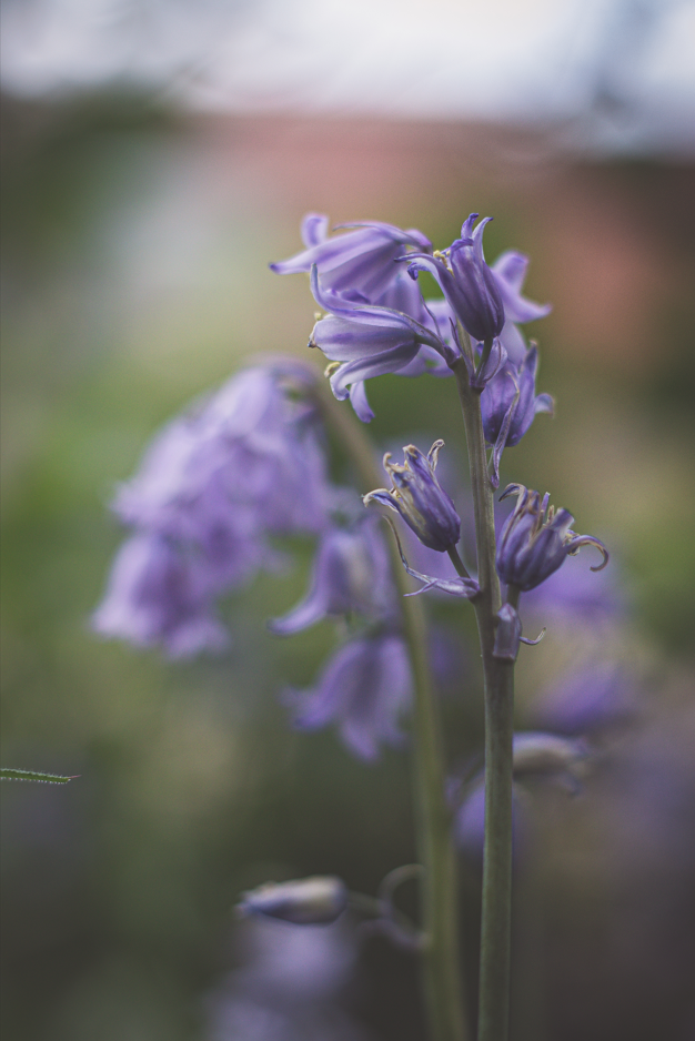 Screenshot (400).png