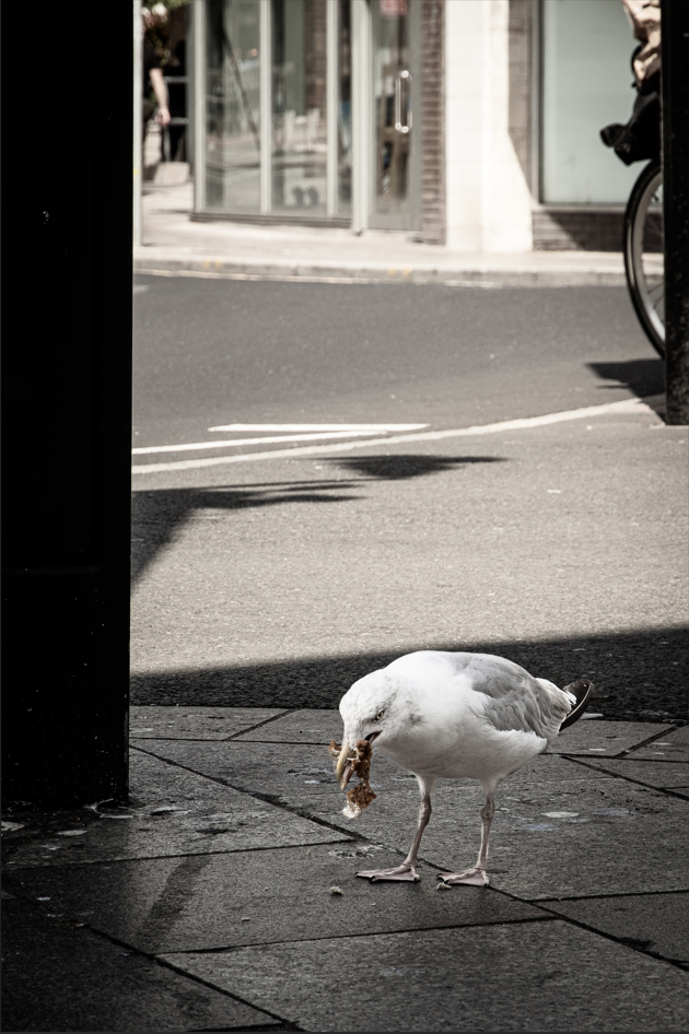 Screenshot (441).png