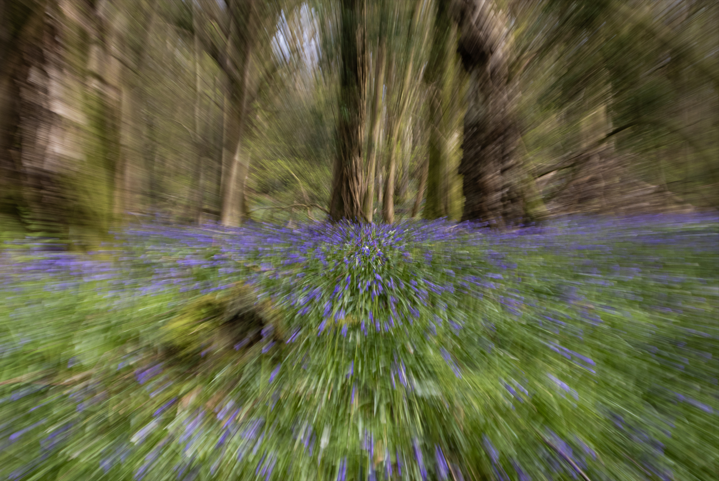 Screenshot (468).png