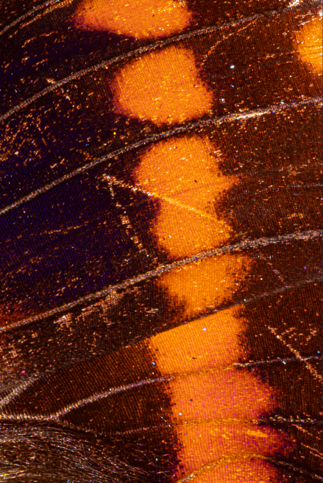 Screenshot 2025-12-20 231147.png