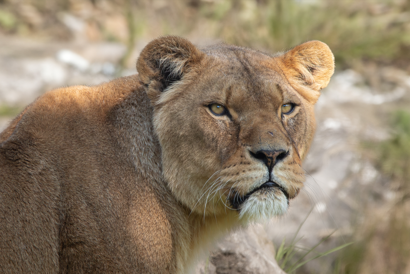 Screenshot (222).png