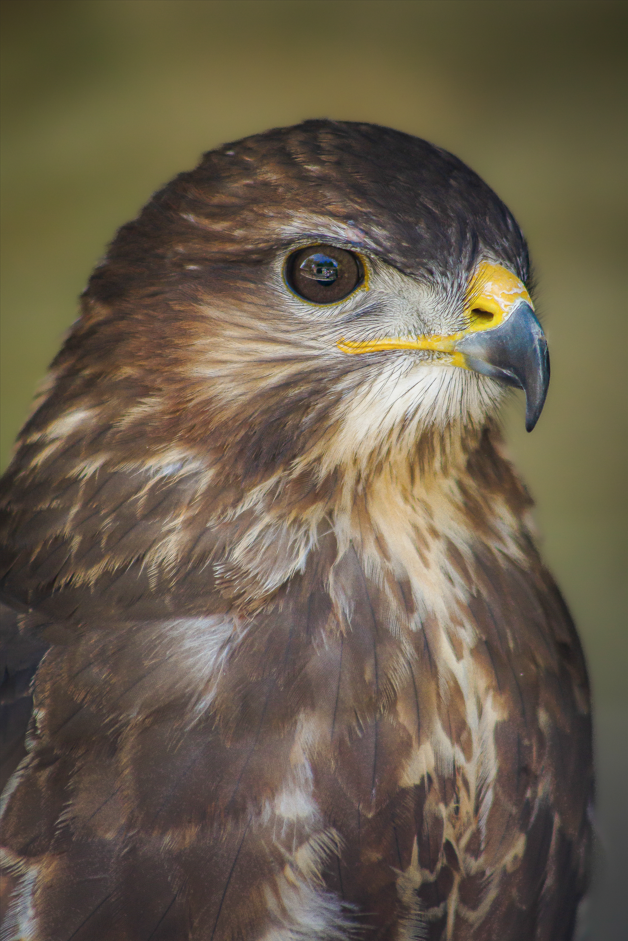 Screenshot (312).png