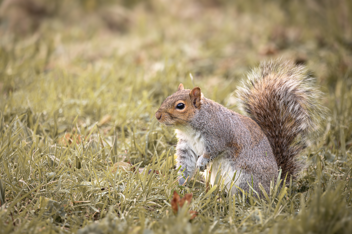 Screenshot (130).png