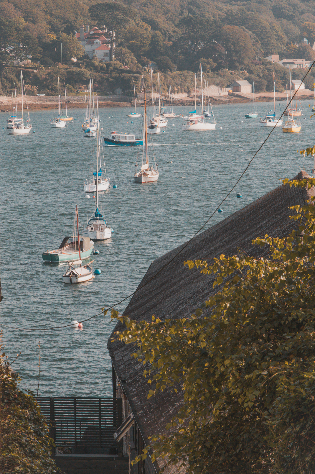 Screenshot 2026-02-05 010634.png