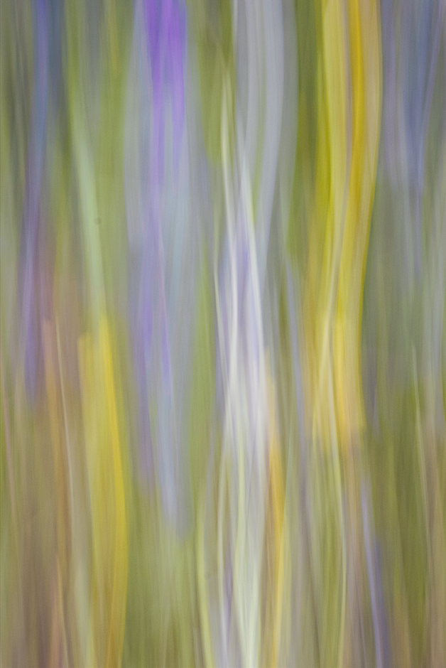 Screenshot (463).png