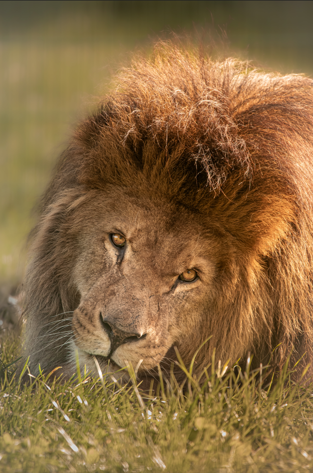 Screenshot (286).png