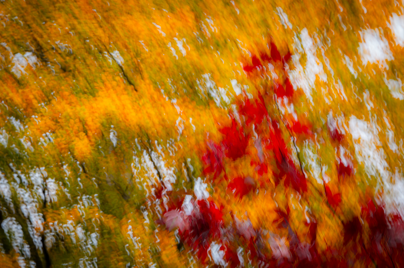 Screenshot (179).png