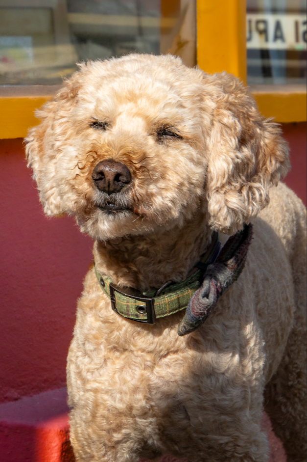 Screenshot (321).png