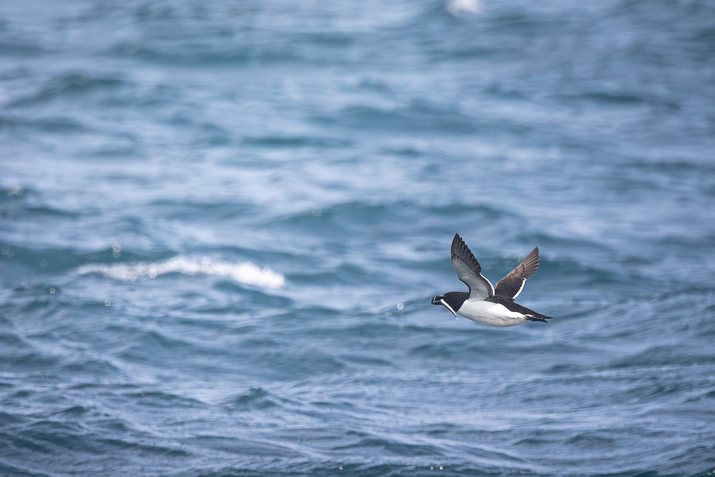 Screenshot 2025-12-25 130436.png