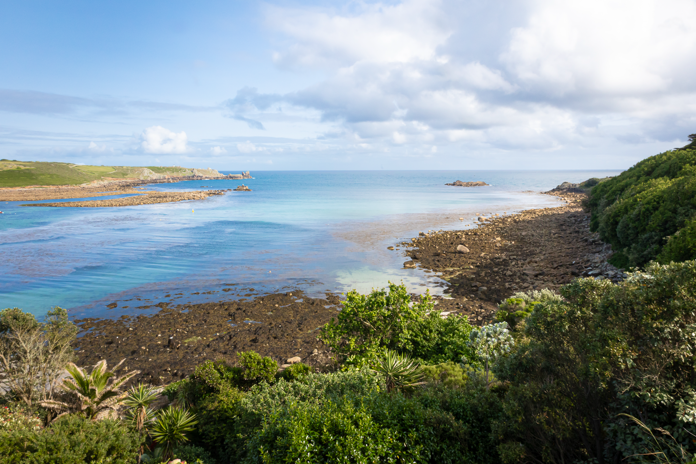 Screenshot 2026-02-05 121110.png