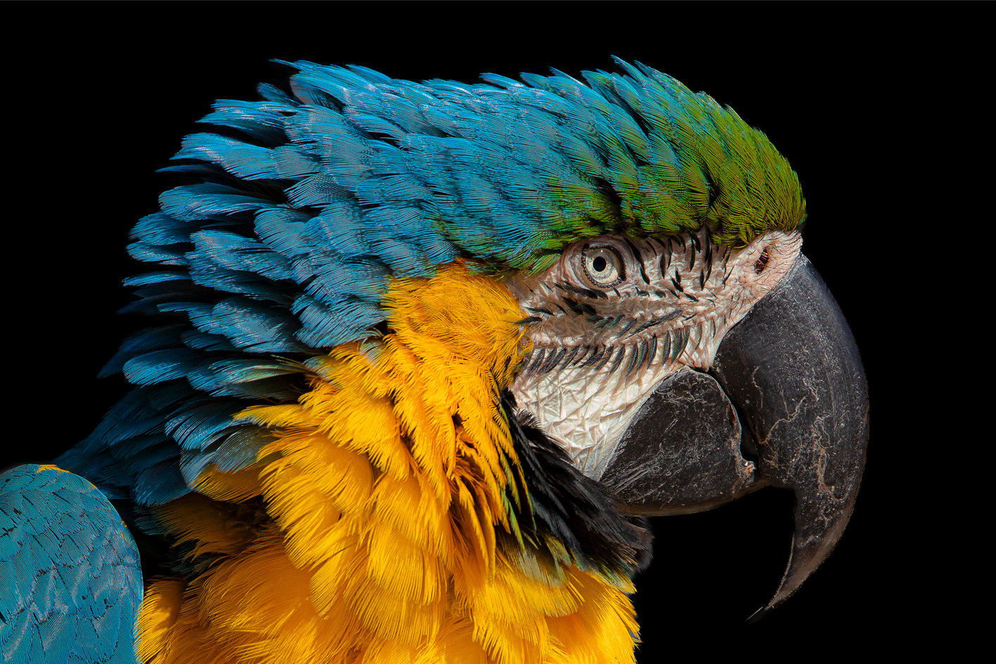 Screenshot (231).png