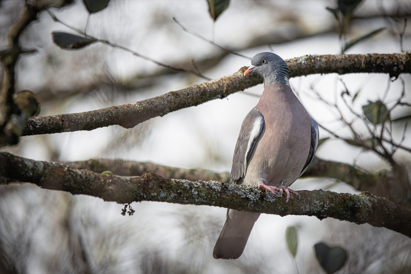 Screenshot (131).png