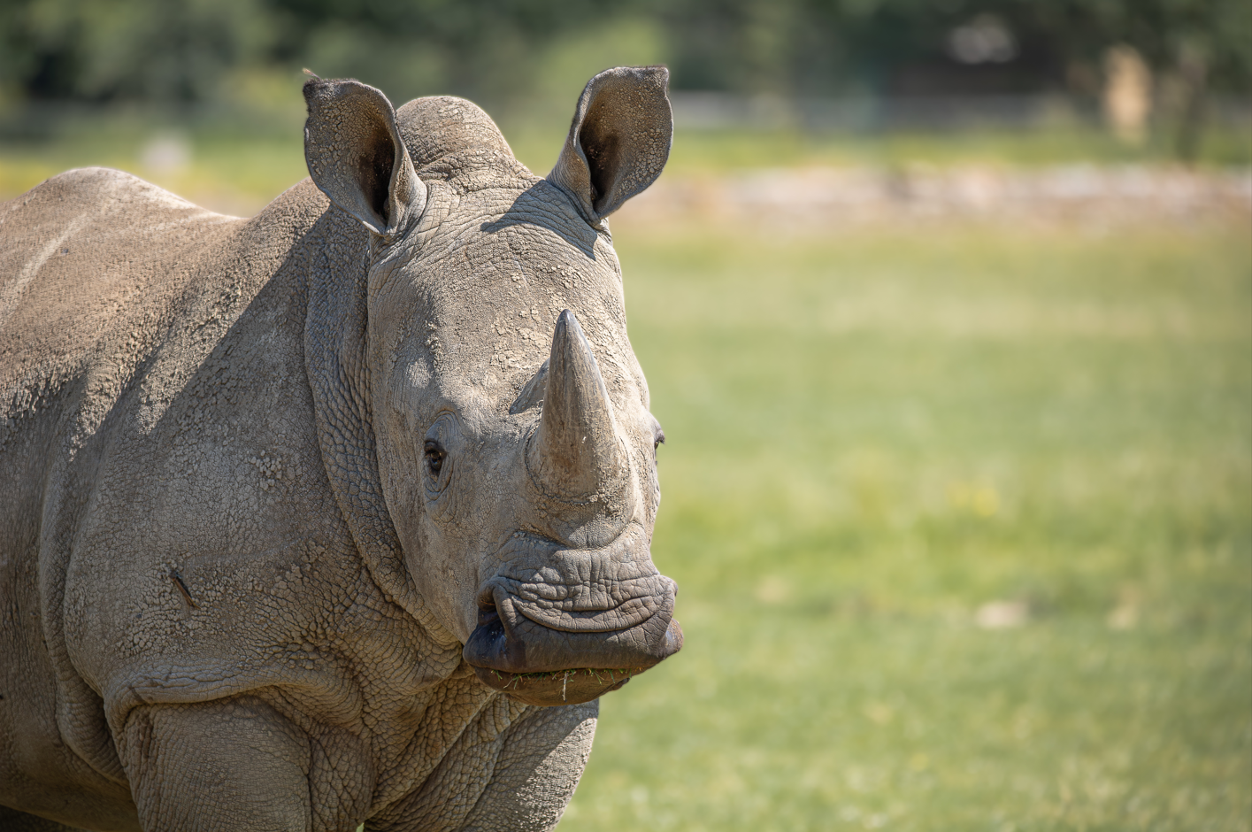 Screenshot (296).png