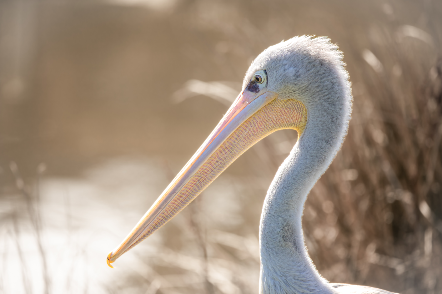 Screenshot (271).png