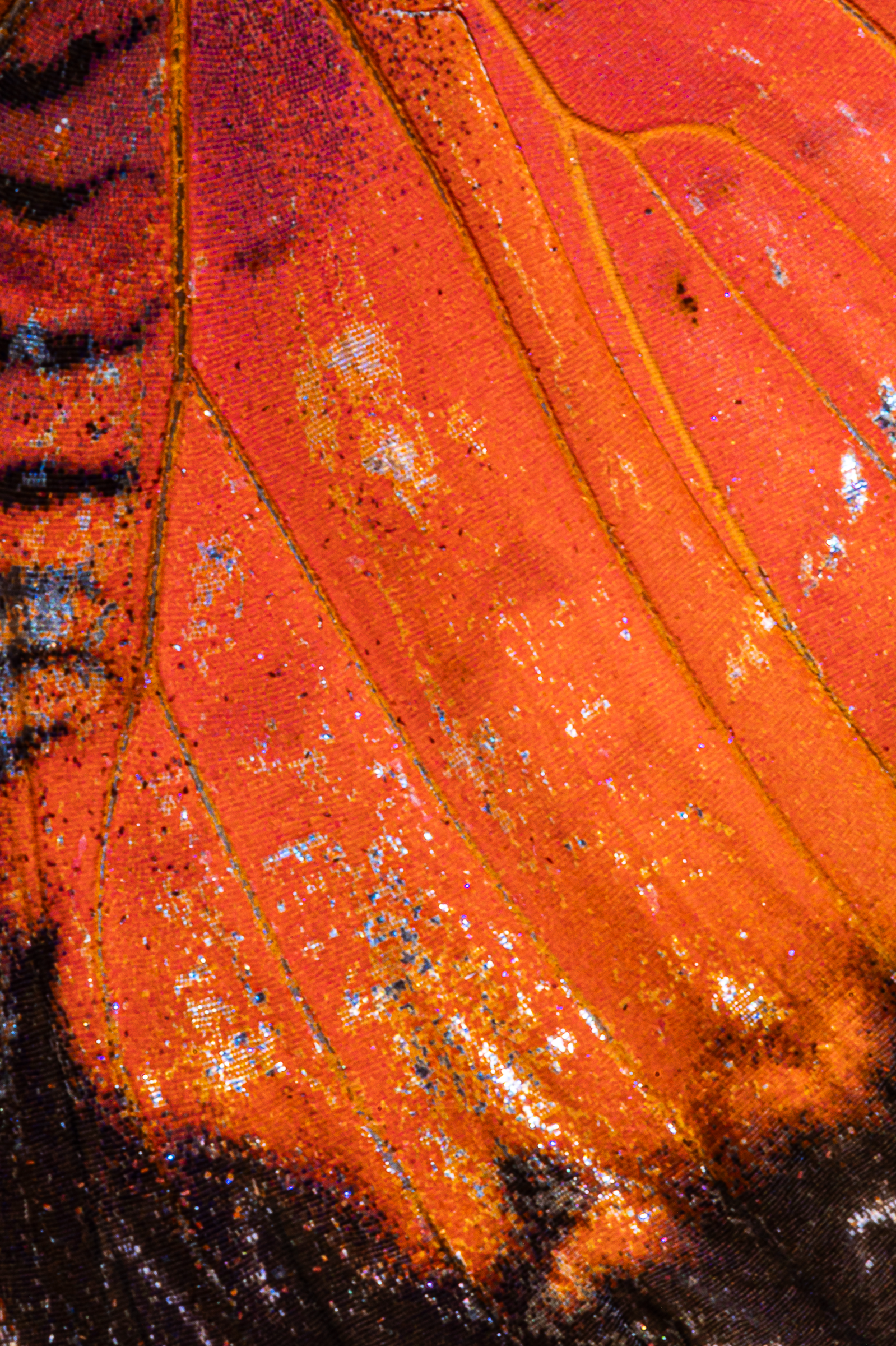 Screenshot 2025-12-20 230935.png