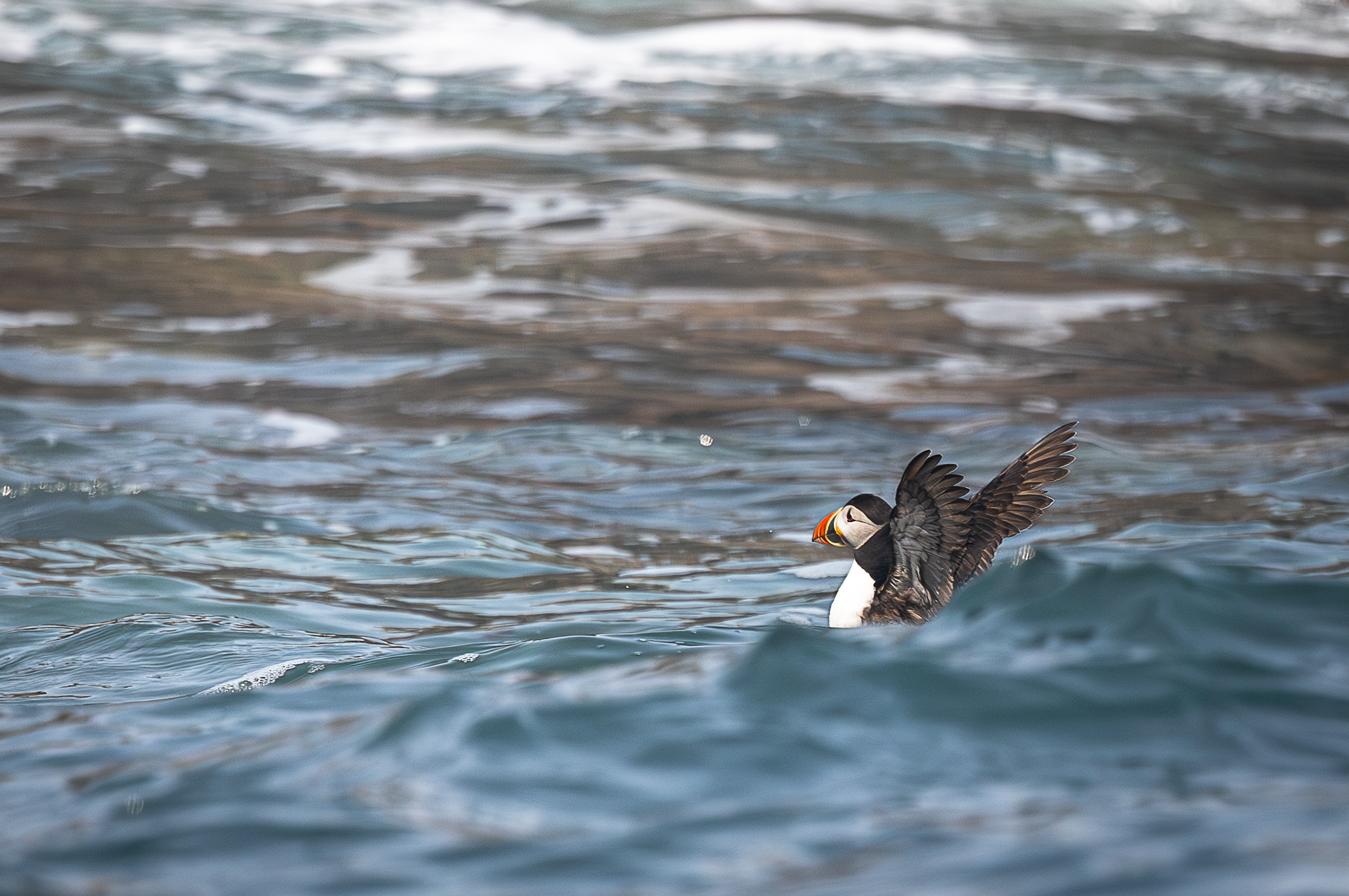 Screenshot 2026-02-05 133114.png