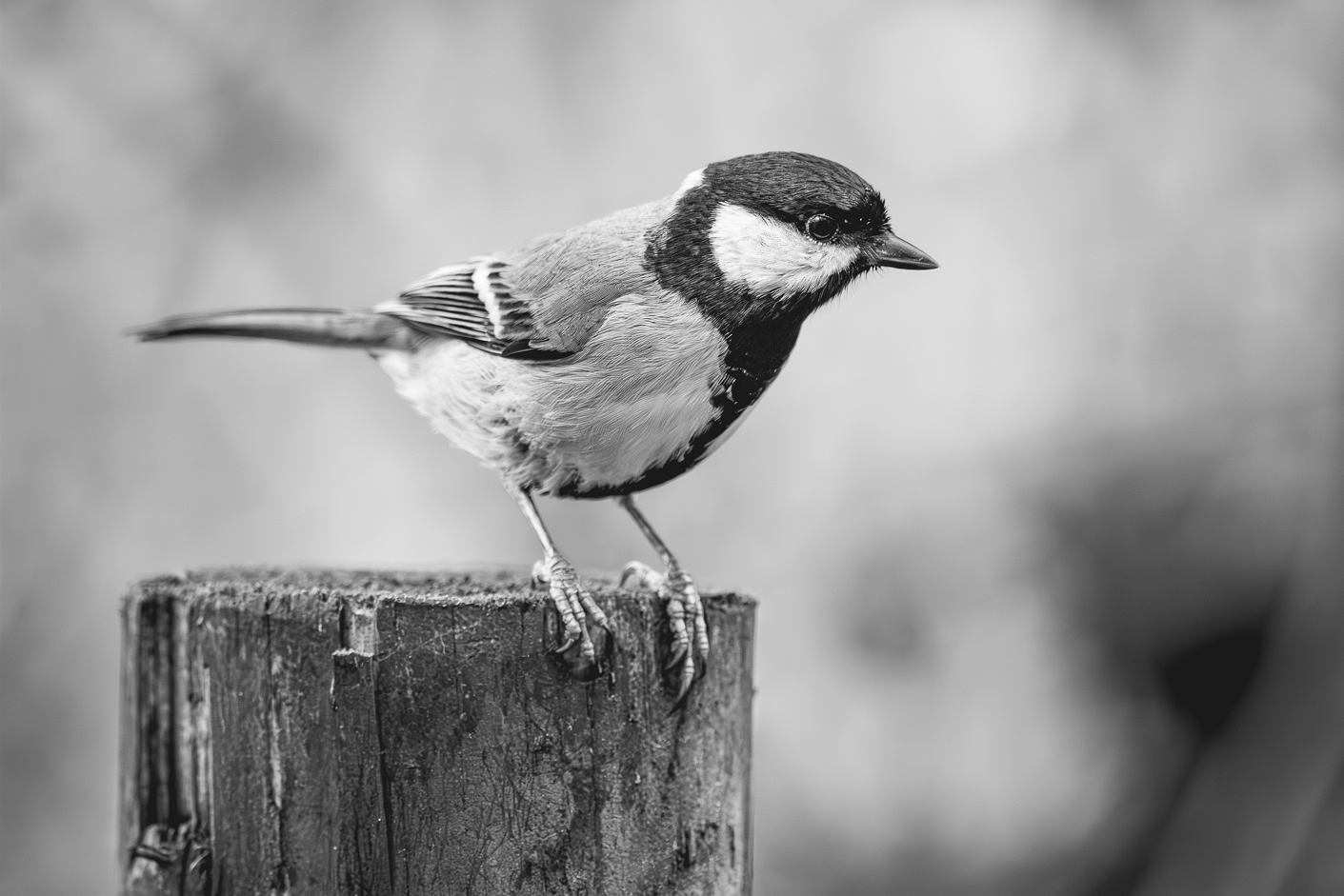 Screenshot (139).png