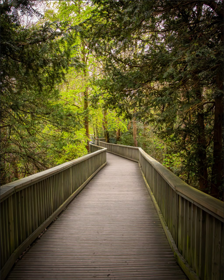 Screenshot (151).png