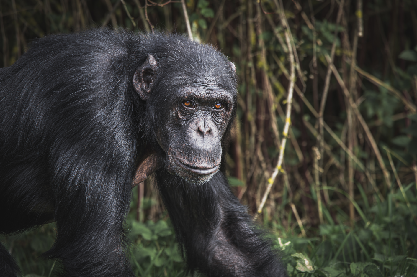 Screenshot (225).png