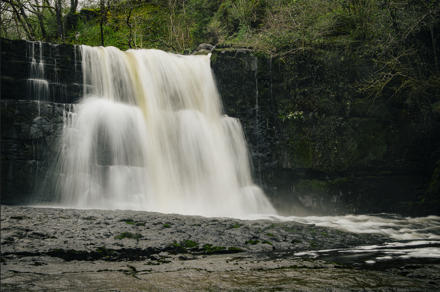 Screenshot (165).png