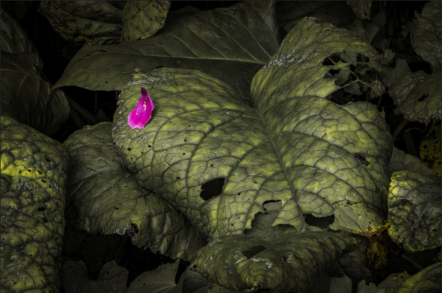 Screenshot (175).png