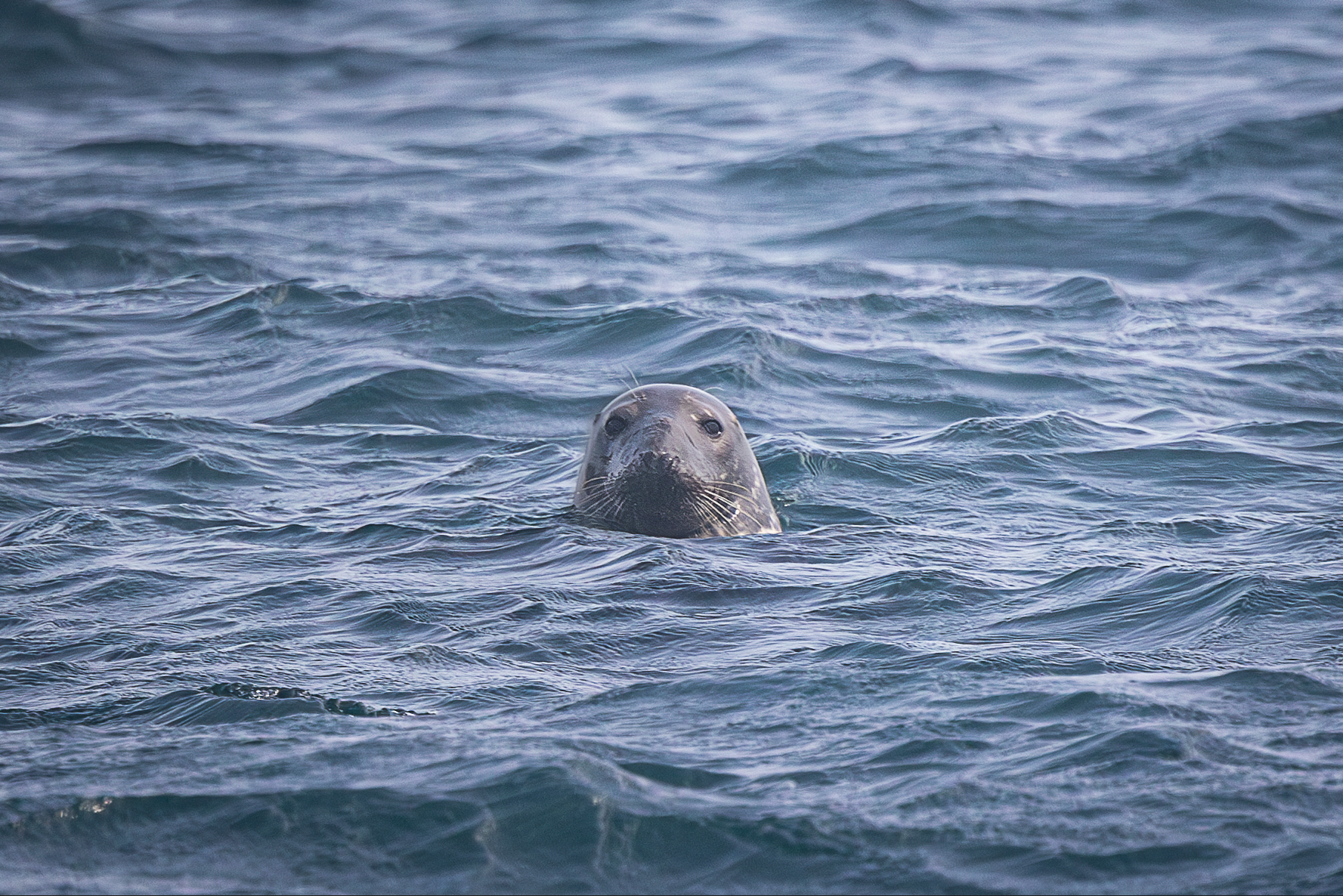 Screenshot 2026-02-05 133137.png