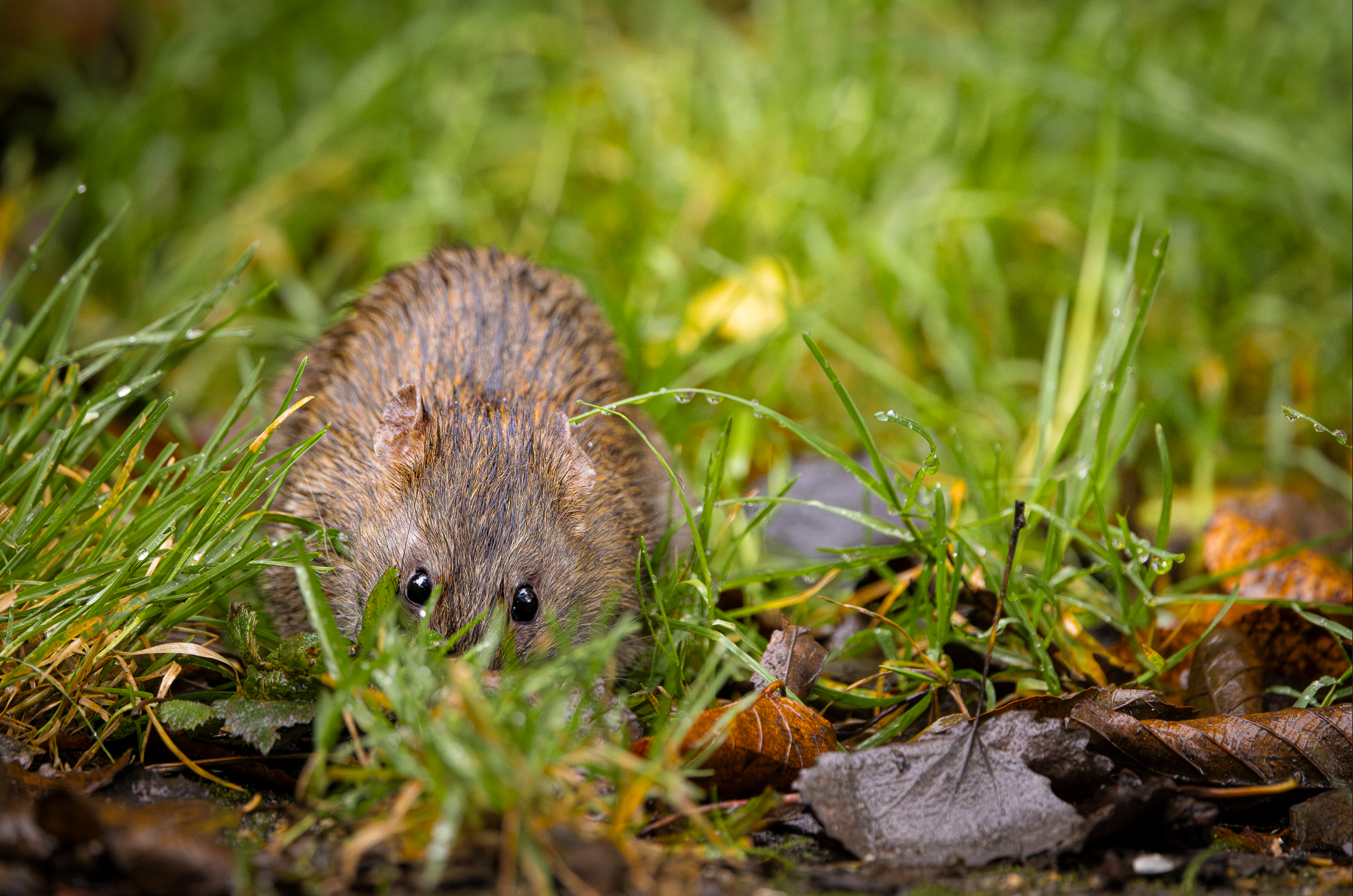 Screenshot 2025-12-25 130717.png